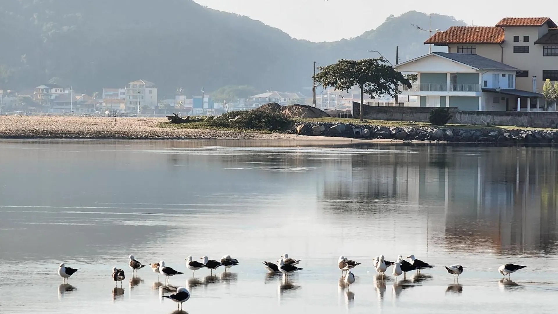 Lägenhet Apt Confortavel A 350 Metros Do Mar Ha0964 Sao Francisco do Sul